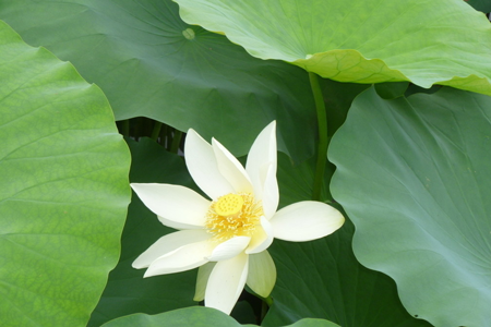 风水提高5.png