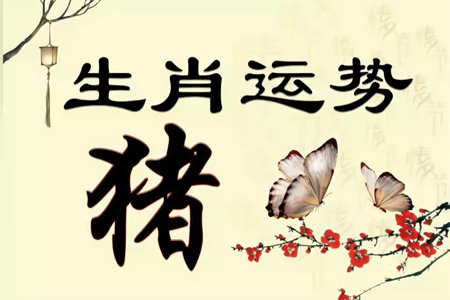 生肖属猪运势1.jpg