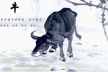 生肖属牛运势3.jpg