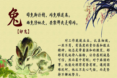 生肖属兔运势.png