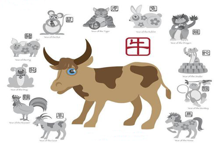生肖属牛每年吉凶11.png