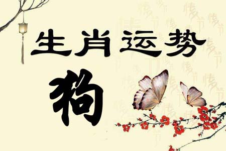 生肖属狗之人在2019年运势3.jpg