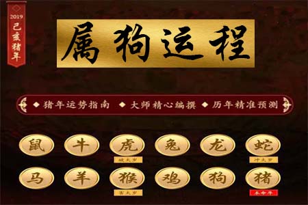 生肖属狗之人在2019年运程.jpg