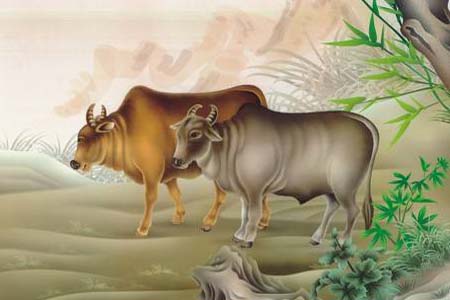 生肖牛和生肖蛇是理想结婚对象.jpg