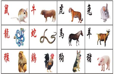 2020年生肖运势及运程.jpg