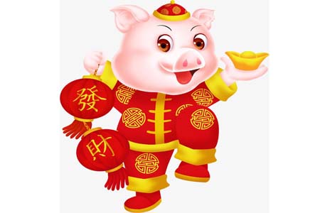 2020年生肖猪运势.jpg