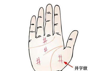 从手相掌纹符号看运势.jpg