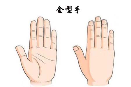 金型手相.jpg