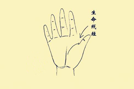 从手相中生命线看运势.jpg