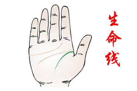 生命线关乎运势.jpg