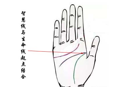 智慧线与生命线起点结合.jpg