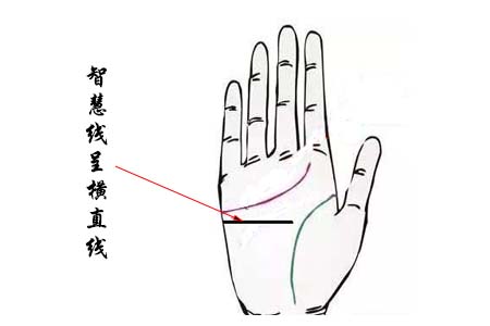 智慧线呈横直线.jpg