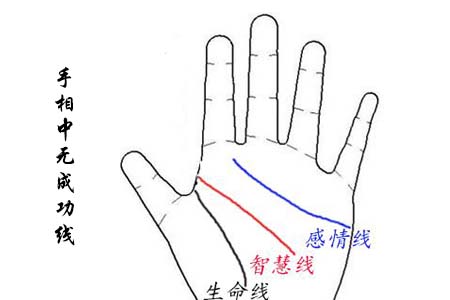 手相中无成功线.jpg