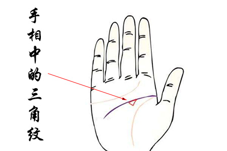 从手相中的三角纹看运势.jpg