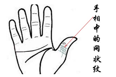 从手相中的网状纹路看运势.jpg