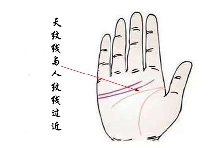 从手相中的天纹线与人纹线看婚姻运势.jpg