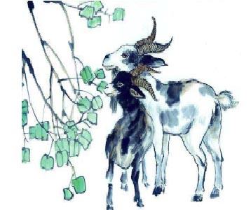 生肖羊.jpg