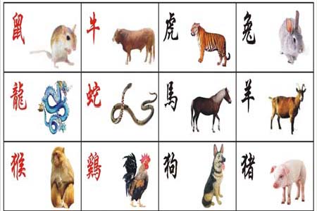 12生肖运势.jpg