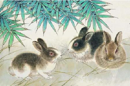 2021年属兔运势.jpg