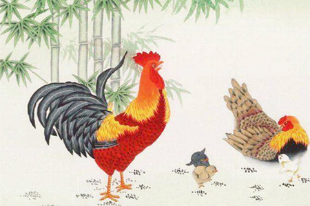 2022虎年生肖属鸡运势.jpg