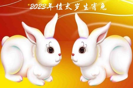 2023年值太岁生肖兔.jpg