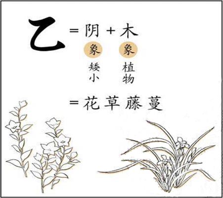 乙木人性格.jpg
