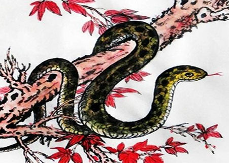 2023属蛇运程.jpg