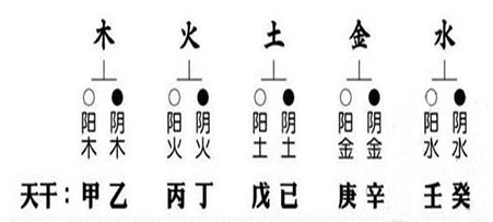 天干图.jpg