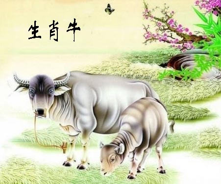 生肖牛.jpg