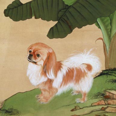 生肖狗.jpg