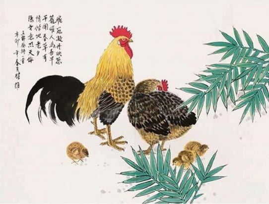 2025年生肖鸡运势.jpg
