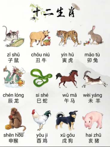 12生肖运势.jpg